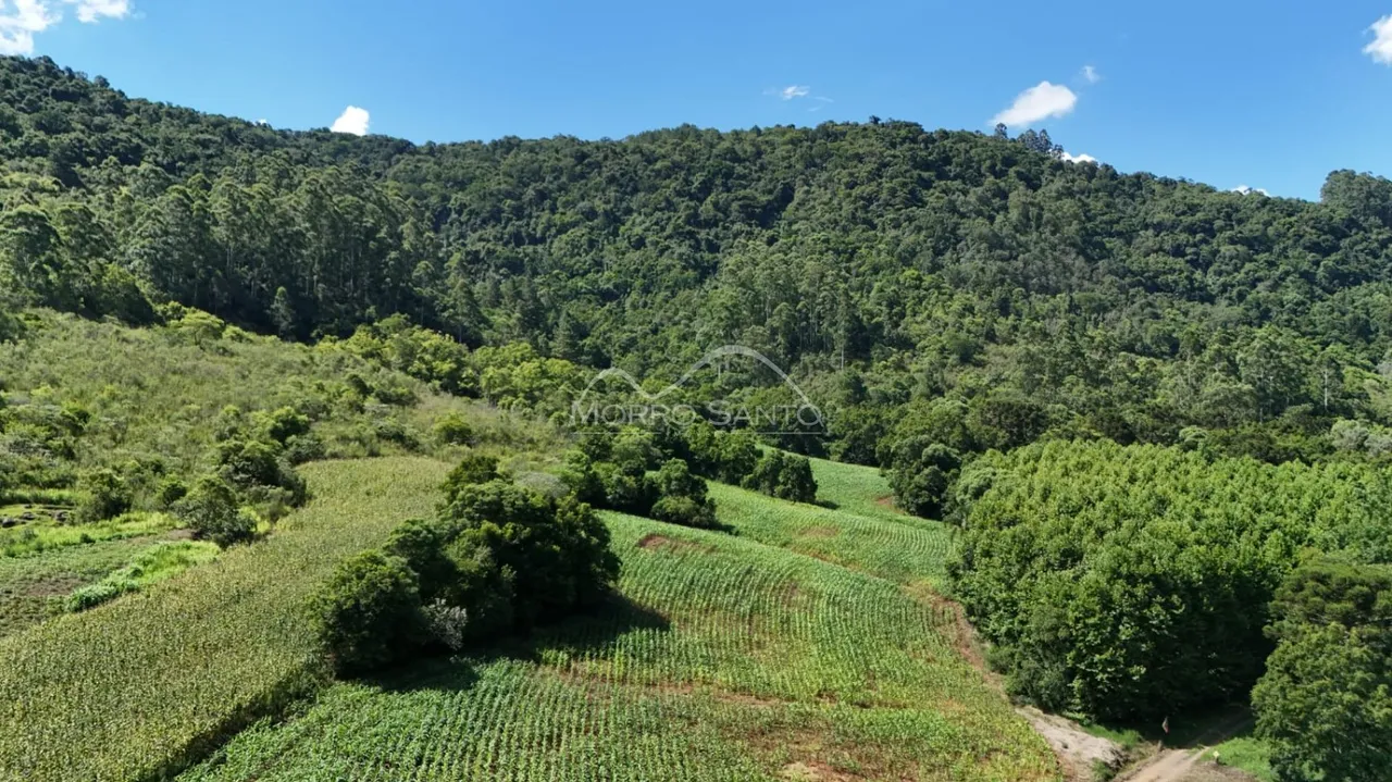 Área rural, foto 1