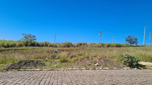 Terreno