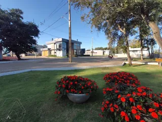 Terreno, foto 7