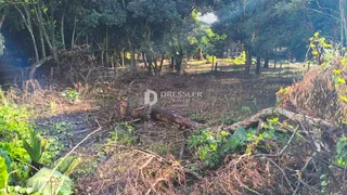 Terreno, foto 2