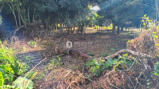 Terreno, foto 2