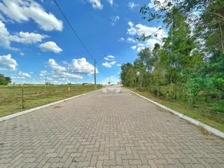 Vista da estrada pavimentada em uma área rural com vegetação ao redor.