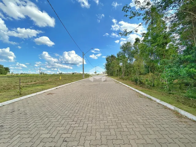 Vista da estrada pavimentada em uma área rural com vegetação ao redor.