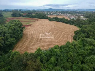 Terreno, foto 7