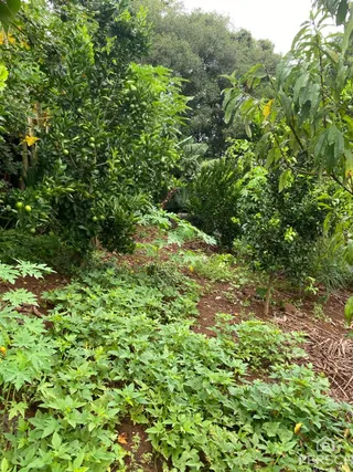 Área rural, foto 2