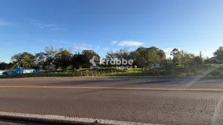 Terreno, foto 6