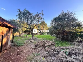 Vista externa mostrando vegetação densa e um caminho de terra.