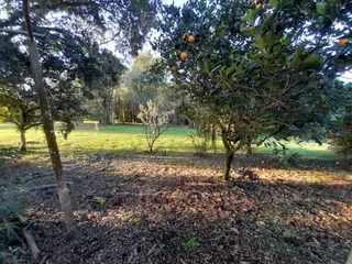 Casa com 6 dormitórios, foto 8