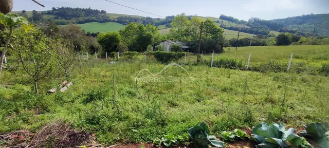 Paisagem de campo verde com vegetação e colinas ao fundo.