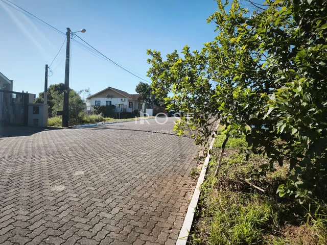 Terreno, foto 5