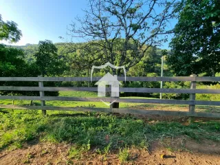 Área rural com 4 dormitórios, foto 7