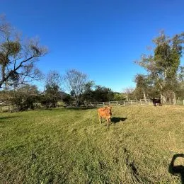 Área rural, foto 4