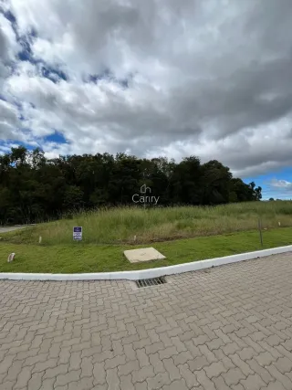 Terreno, foto 4