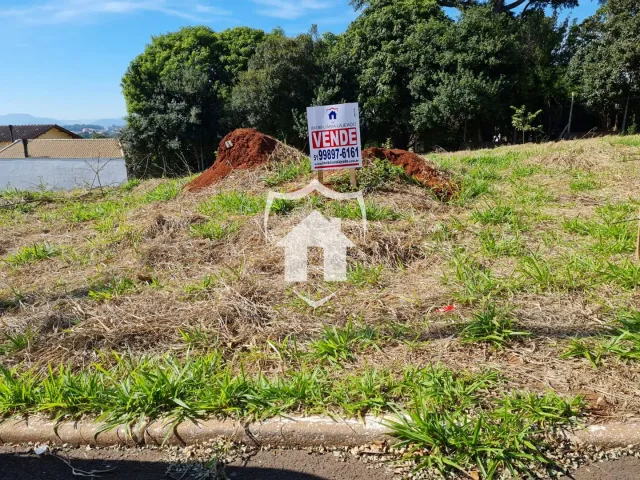 Terreno, foto 4