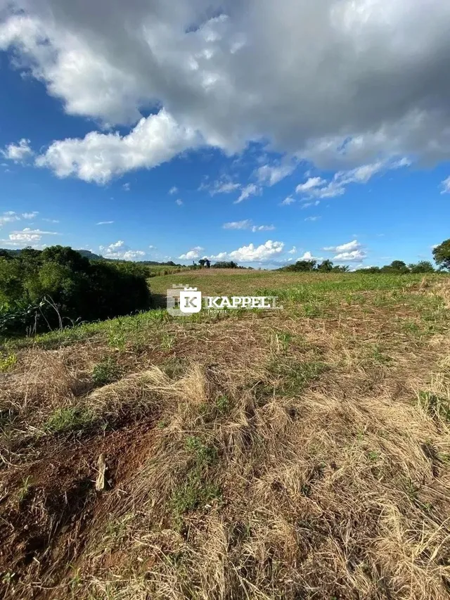 Campo aberto com vegetação seca sob um céu azul com nuvens brancas.