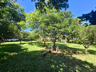 Terreno, foto 15