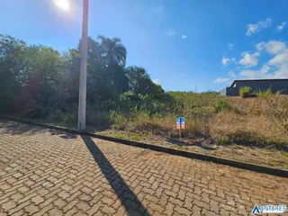 Terreno, foto 5