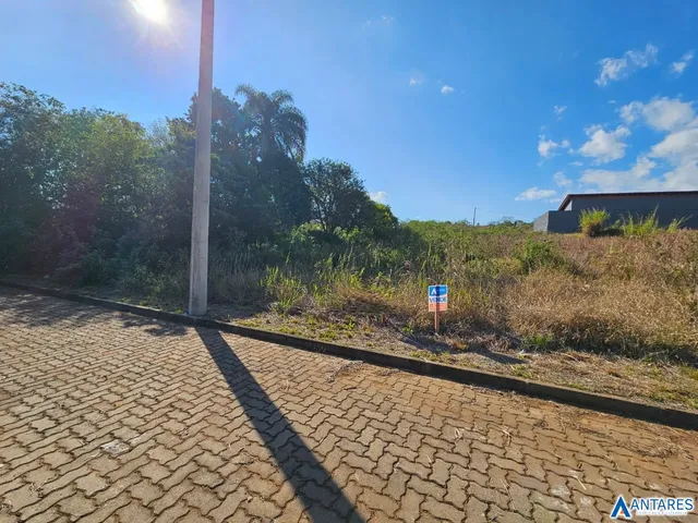 Terreno, foto 5