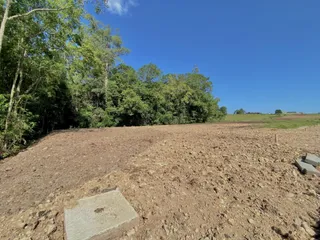 Terreno, foto 3