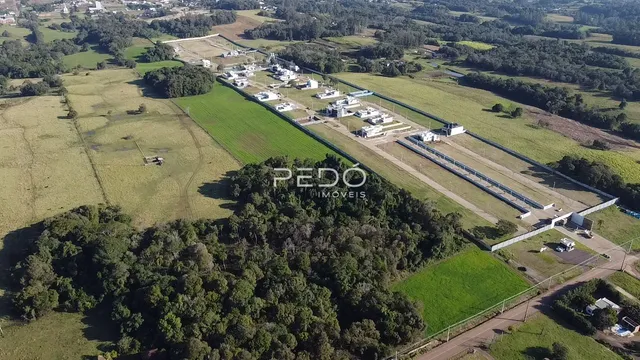 Terreno, foto 2