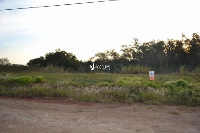 Paisagem de campo aberta na propriedade.