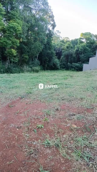 Vista de um terreno aberto com vegetação densa ao fundo.
