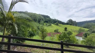 Vista panorâmica de colinas verdes e vegetação exuberante da propriedade.