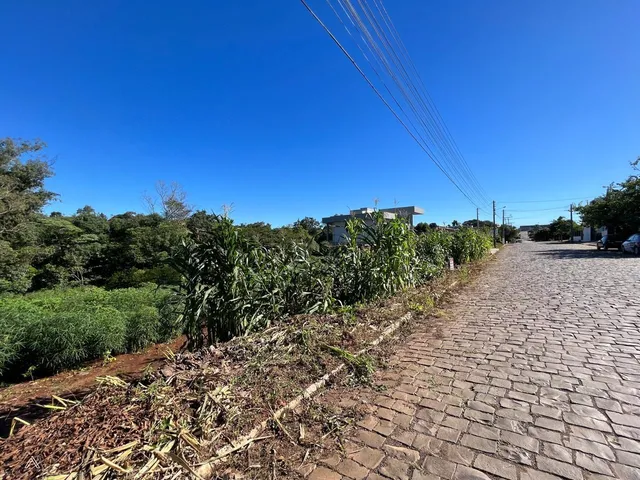Terreno, foto 2