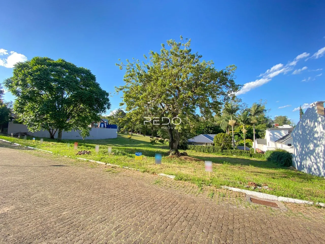 Terreno, foto 1