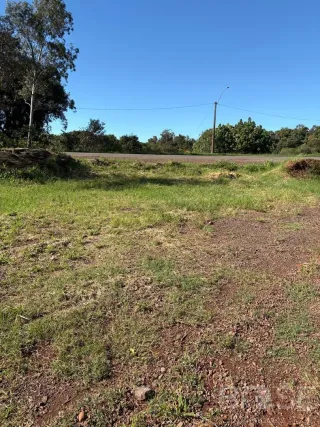 Terreno, foto 5