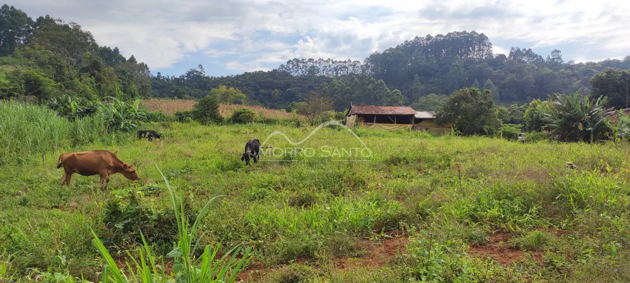 Vista de um campo verde com vegetação e uma construção rústica ao fundo.