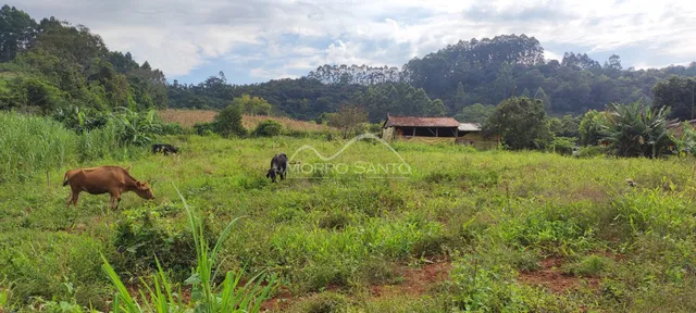 Vista de um campo verde com vegetação e uma construção rústica ao fundo.