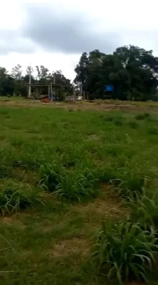 Terreno, foto 2