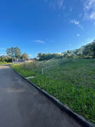 Vista da paisagem externa da propriedade em Lajeado com gramado e estrada.