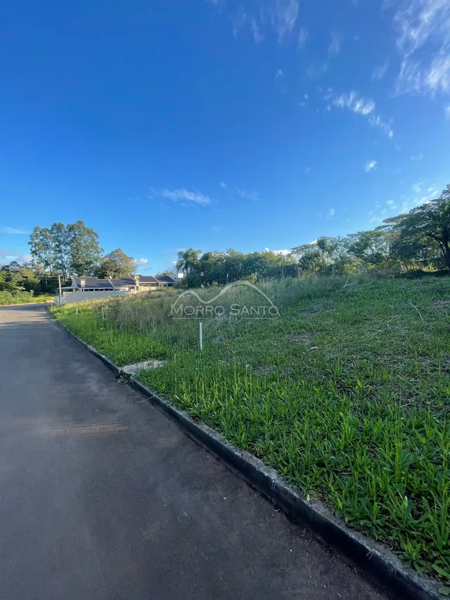 Vista da paisagem externa da propriedade em Lajeado com gramado e estrada.