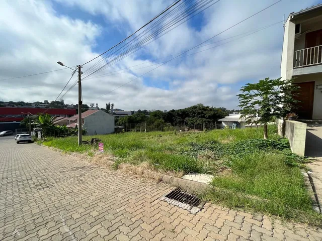 Terreno, foto 3