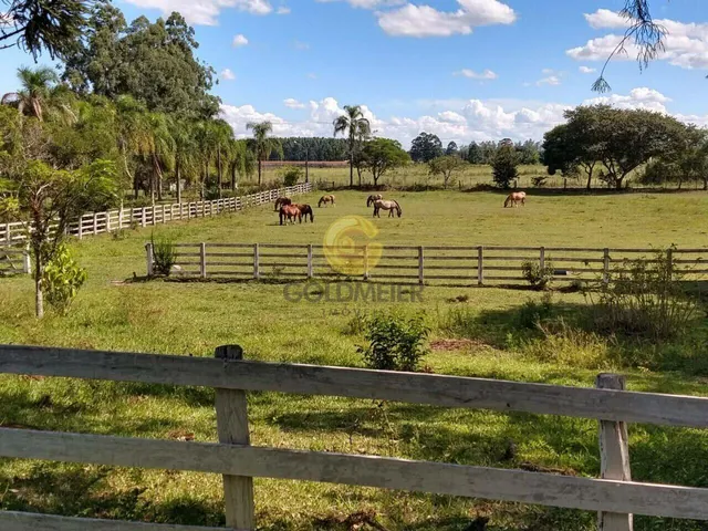 Área rural com 3 dormitórios, foto 4