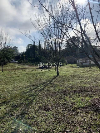 Terreno, foto 3
