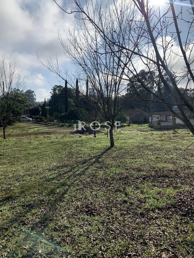 Terreno, foto 3