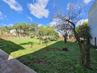 Vista de um jardim gramado com árvores e uma área pavimentada.