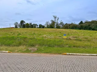 Paisagem de campo verde com uma estrada no primeiro plano.