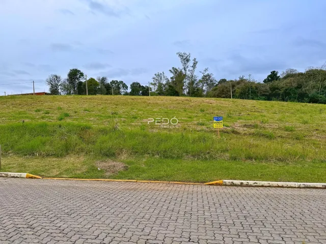 Terreno, foto 5