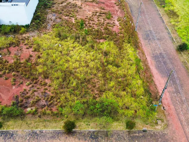 Terreno, foto 3