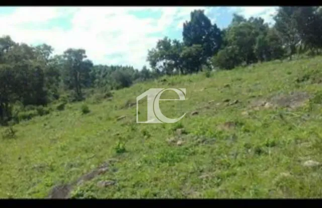 Área rural, foto 3