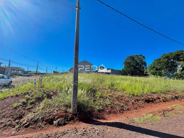 Vista externa de um terreno com grama alta e um poste no meio.
