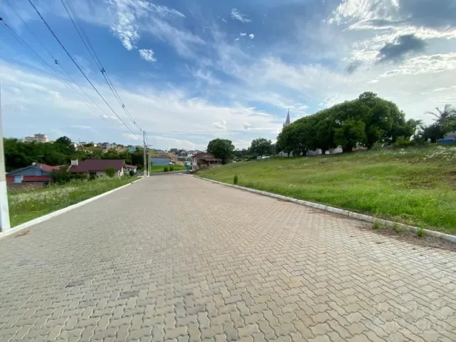 Vista da rua de acesso e área verde da propriedade em Lajeado.