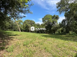Terreno, foto 2