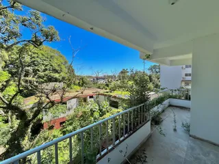Vista da propriedade com vegetação exuberante.