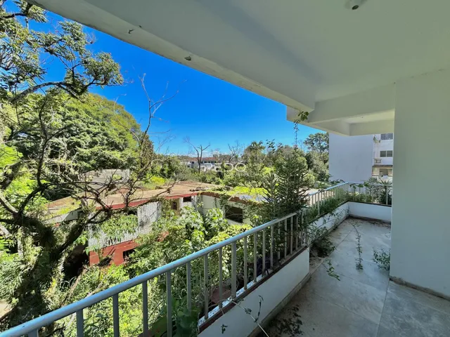 Vista da propriedade com vegetação exuberante.