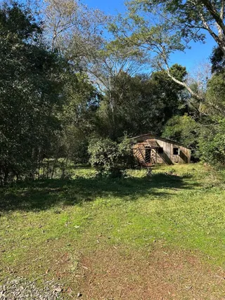 Área rural com 3 dormitórios, foto 6